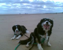 Bridie and Belle